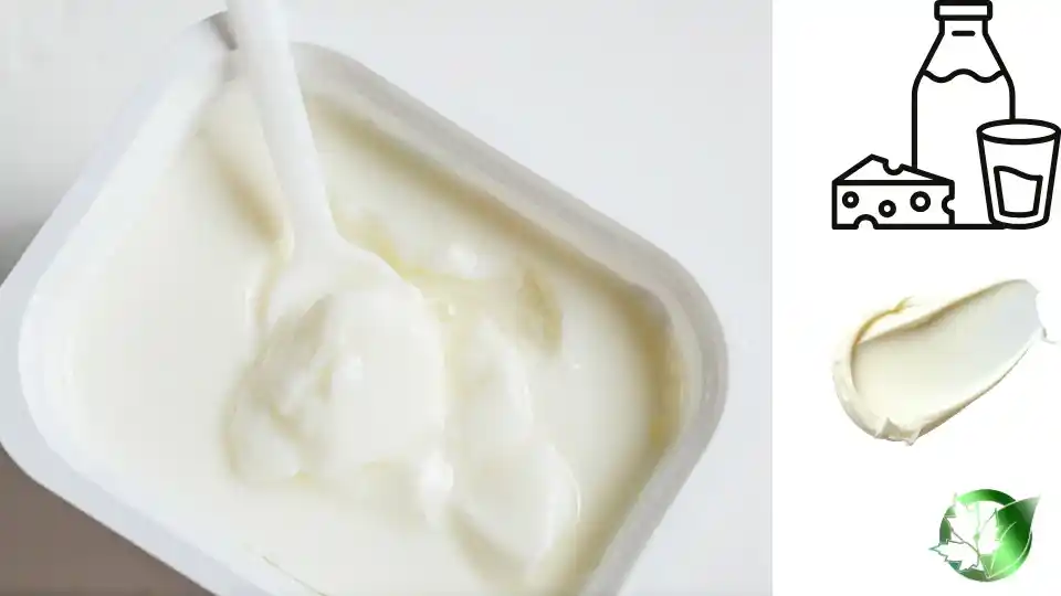 Non-Dairy Creamer quality, format, and packaging should be matched to the buyer’s target application.